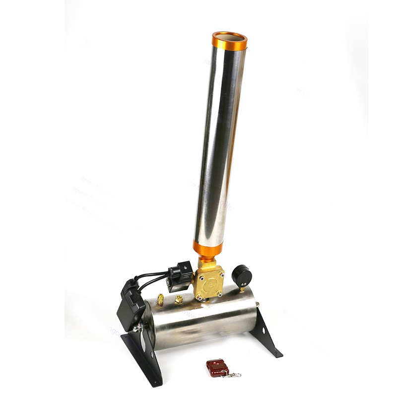 Baby Shower Holi Streamer Spray Confetti Powder Electric Remote Control Gender Reveal Outdoor Fireworks Wedding Graduation Party Baby Shower Holi Streamer Spray Confetti Powder Electric Remote Control Gender Reveal Outdoor Fireworks Wedding Graduation Party